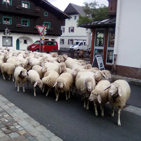 Landgasthof Kirchmayer 2*