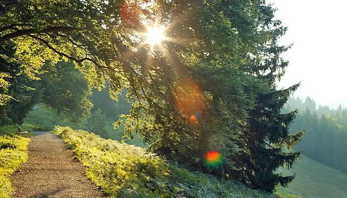 ホテル Landgasthof Kirchmayer ファルハント