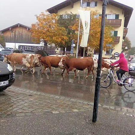 Landgasthof Kirchmayer 2*