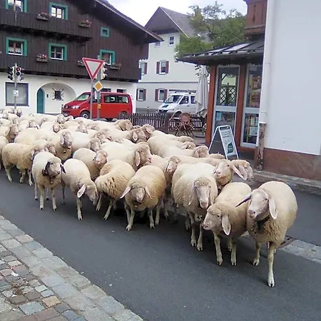 Landgasthof Kirchmayer Szálloda