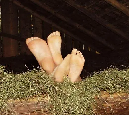 لاندغاستهوف كيرخماير 2*